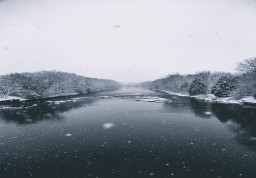 image of Cold